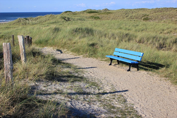 Wanderweg durch die Dnen der Nordsee